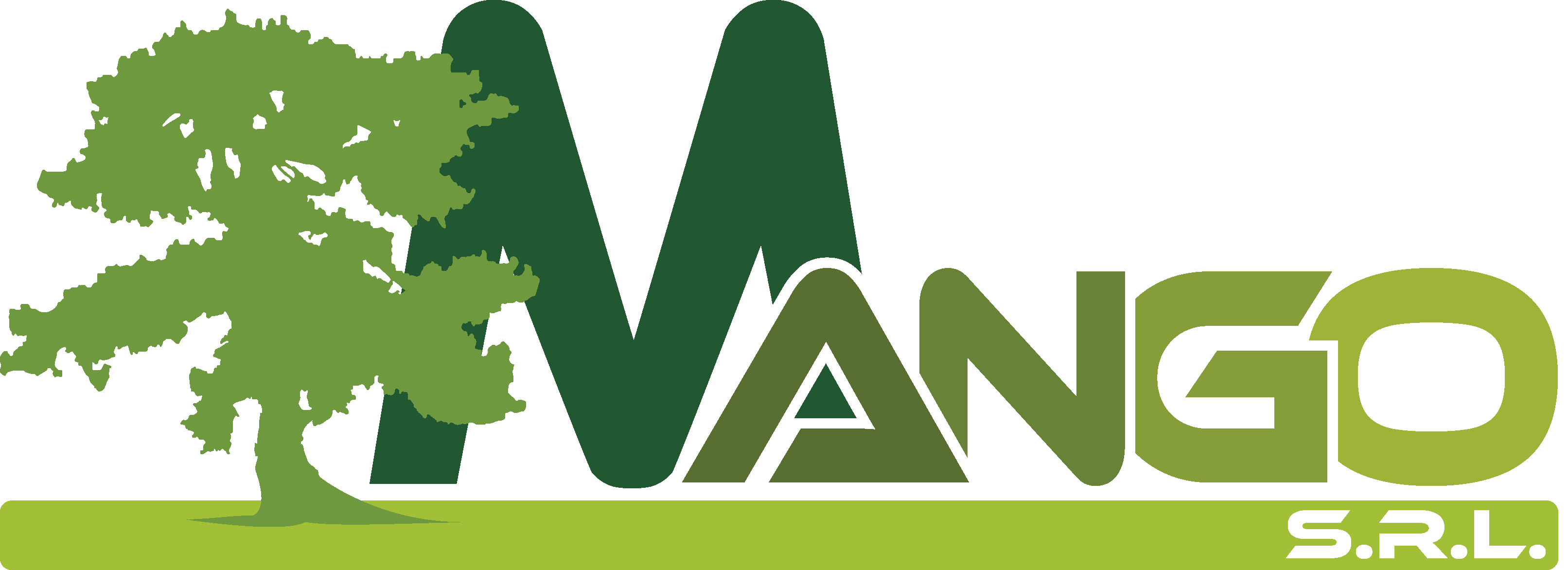 Mango Srl