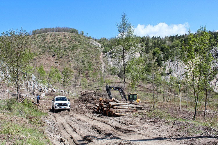 mango-srl-abbattimento-esbosco-castelluccio